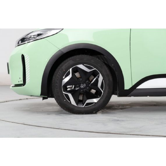 BYD D1 Lead Edition 2021 - UC00098