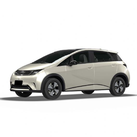 BYD dolphin - UC00109