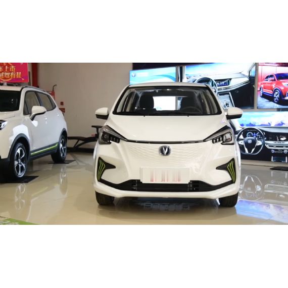 Changan Benben 1 - CH00011