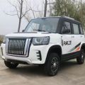 Adult Small Electriccar Mini EV Car 4 Wheel New Energy Vehicle Chinese Mini Automobile Electric Small Car (3500W New Red Flag) - CH00096