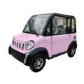 Adult Small New Energy Vehicle Lithium Battery Mini Electric Car Electriccar 0km Used Car Mini EV with Long Driving Distance - CH00097