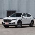Hongqi HS5 Petrol Gas Gasoline - CH00046