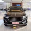 Used car SUV 2.0t 5-door 5-seat Petrol Gas Automobile Eec M1 Electric Car Used Cars of Hongqi - CH14718